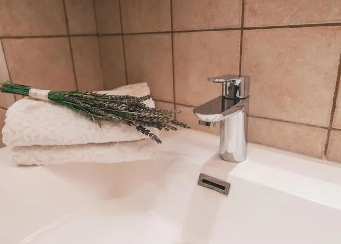 Hortensia Apartment Opatija